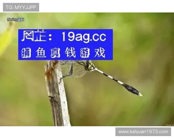 ag捕鱼娱乐会员注册后如何快速绑定银行卡实现资金安全保障